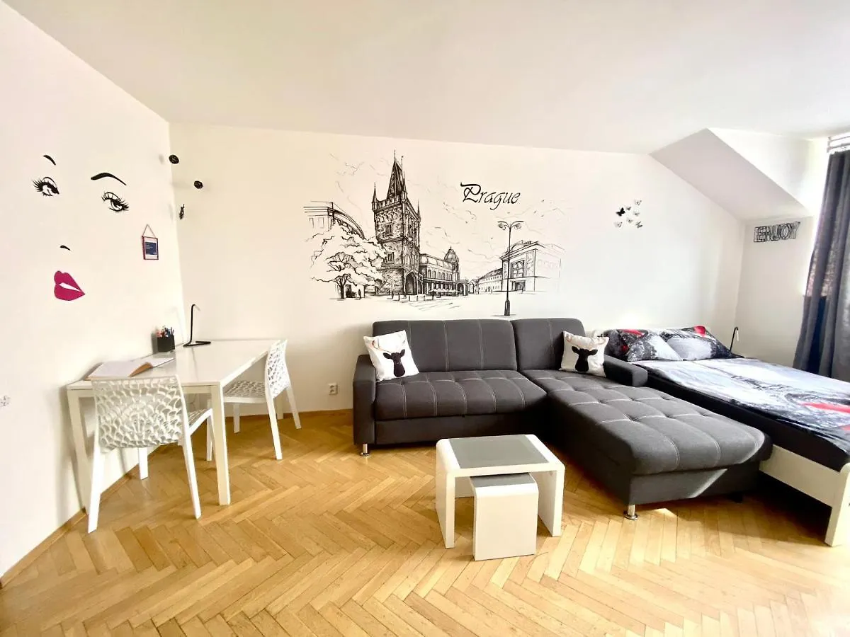 Fantastic Apartment In The City Center Prága