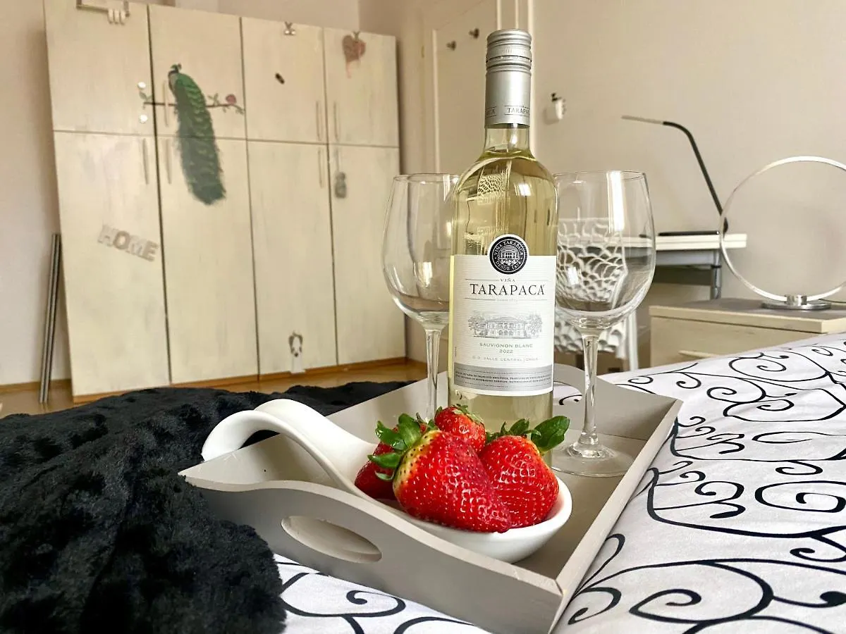 Fantastic Apartment In The City Center Prága